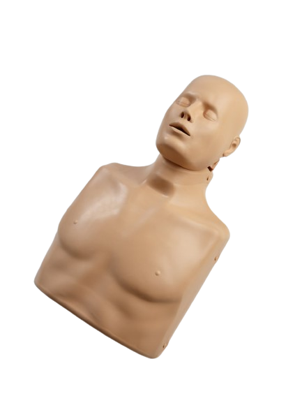 Manekin RKO BLS/AED PRACTI MAN PLUS z torbą/matą treningową