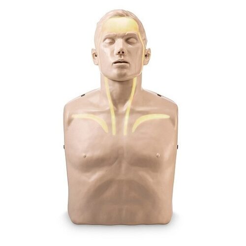 Manekin BLS/AED BRAYDEN wskaźniki LED 0679