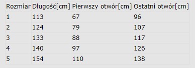 Pas oficerski skórzany PSP złota klamra z bojówkami - obrazek 2